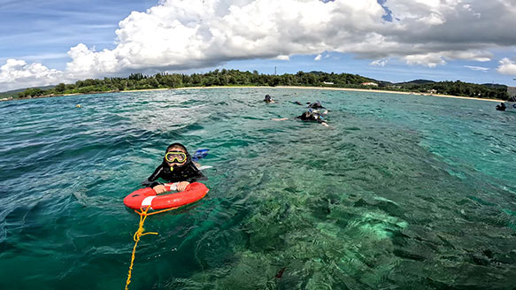 ツアーのおすすめポイント