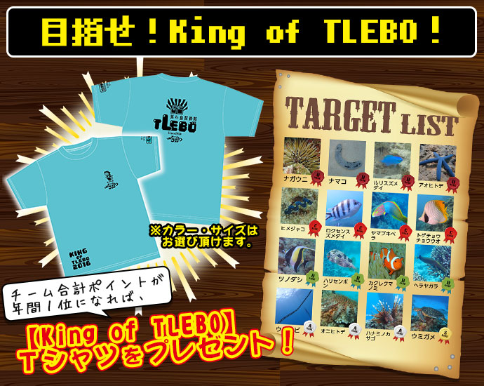 目指せ!キングオブトレボ!